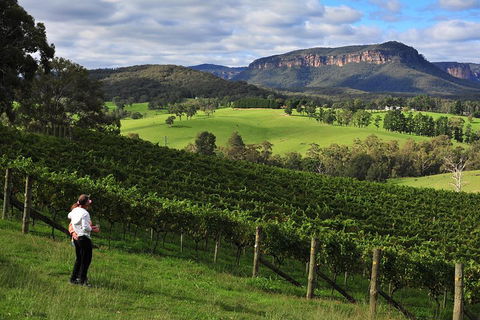 Private Blue Mountains And Winery Day-Trip From Sydney - Accommodation in Surfers Paradise 2