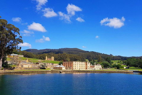Tasmania 4 Day East Coast + Launceston - Accommodation in Surfers Paradise 0