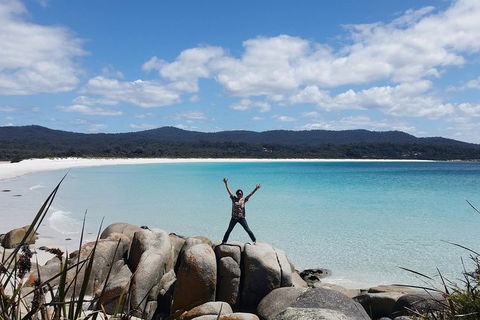 Tasmania 4 Day East Coast + Launceston - Accommodation in Surfers Paradise 1