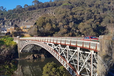 Tasmania 4 Day East Coast + Launceston - Accommodation in Surfers Paradise 5