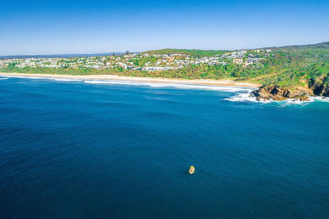 Noosa Oceanrider Scenic Dolphin Safari - Accommodation in Surfers Paradise 4