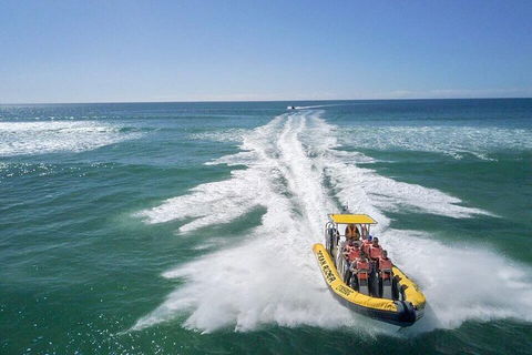 Noosa Oceanrider - Adventure Tour - Accommodation in Surfers Paradise 2