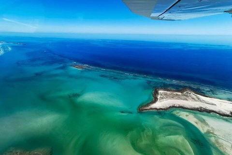 Wet Season Incredible Islands Tour - Horizontal Falls & Cygnet Bay Pearl Farm - Accommodation in Surfers Paradise 4