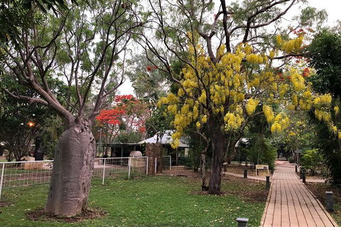 Wet Season Mitchell Falls Tour - Mitchell Falls, Horizontal Falls & Cygnet Bay - Accommodation in Surfers Paradise 1