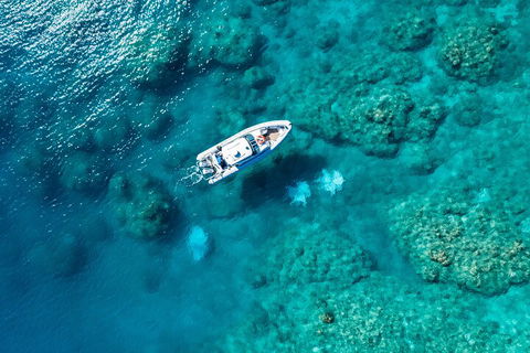Premium Private Charter - Accommodation in Surfers Paradise 0