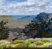Blue Mountains Private Tour - wild kangaroos waterfalls and The Three Sisters - Accommodation in Surfers Paradise
