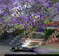 Sydney Secrets  Bondi Beach Private 4 Hr Morning with Personalised Sydney Tours - Accommodation in Surfers Paradise