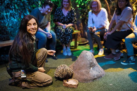 Sydney Taronga Zoo's Australian Animals Tour - Accommodation in Surfers Paradise 0