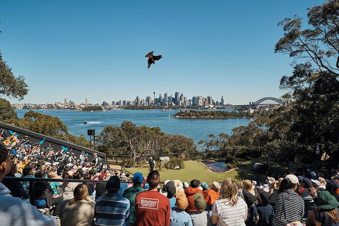 Sydney Taronga Zoo's Australian Animals Tour - Accommodation in Surfers Paradise 5