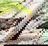 Sydney Taronga Zoo General Entry Ticket and Wild Australia Experience - Accommodation in Surfers Paradise
