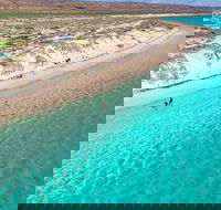 Ningaloo in a Day - Full Day Hike and Snorkel Tour with Lunch - Accommodation in Surfers Paradise