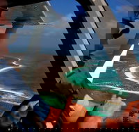 Shipwreck Special Full Day Tour of the Abrolhos Islands - Accommodation in Surfers Paradise