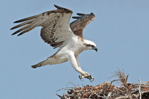 Pink Lake + Abrolhos Islands Nature Tour - Accommodation in Surfers Paradise 3