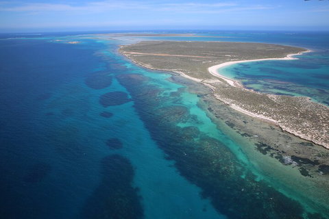 Pink Lake + Abrolhos Islands Scenic Flight - Accommodation in Surfers Paradise 0