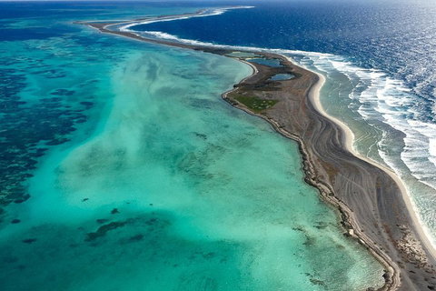 Pink Lake + Abrolhos Islands Scenic Flight - Accommodation in Surfers Paradise 3