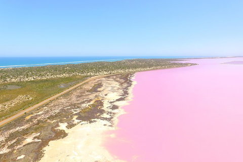 Pink Lake + Abrolhos Islands Scenic Flight - Accommodation in Surfers Paradise 4