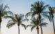 Darwin City Sightseeing Tour - thumb 0