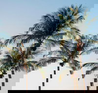 Darwin City Sightseeing Tour - Accommodation in Surfers Paradise