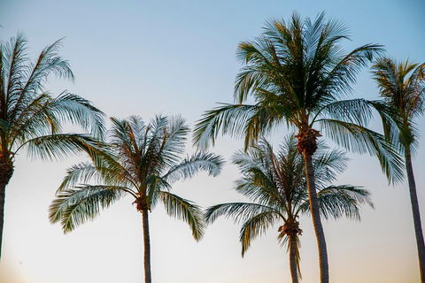 Darwin City Sightseeing Tour - Accommodation in Surfers Paradise 0