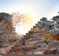 3-Day Kakadu National Park and Arnhem Land Explorer Tour from Darwin - Accommodation in Surfers Paradise