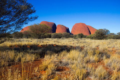 Kata Tjuta Sunrise And Valley Of The Winds Half-Day Trip - Accommodation in Surfers Paradise 1