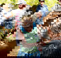 Tiwi Islands Cultural Experience from Darwin Including Ferry - Accommodation in Surfers Paradise