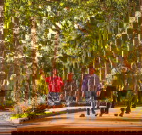 Darwin City Sights and Jumping Crocodile Cruise - Accommodation in Surfers Paradise