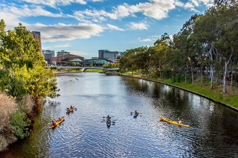 Adelaide City Kayak Tour - Accommodation in Surfers Paradise 0