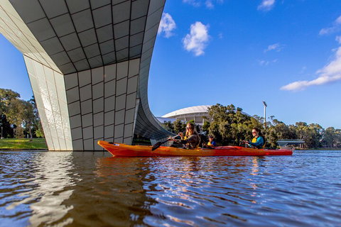 Adelaide City Kayak Tour - Accommodation in Surfers Paradise 1