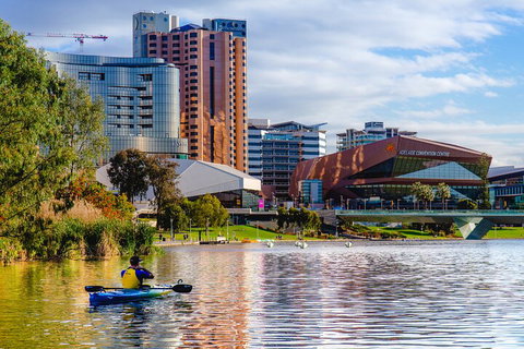 Adelaide City Kayak Tour - Accommodation in Surfers Paradise 3