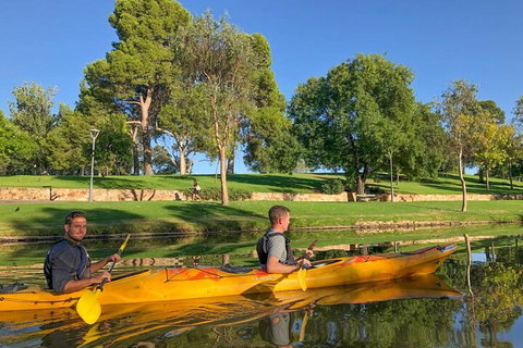 Adelaide City Kayak Tour - Accommodation in Surfers Paradise 4