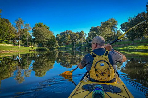 Adelaide City Kayak Tour - Accommodation in Surfers Paradise 5