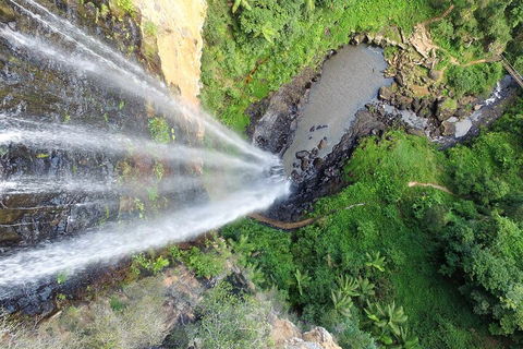 Natural Bridge & Springbrook Waterfalls Tour + Hot Air Balloon With Breakfast - Accommodation in Surfers Paradise 1