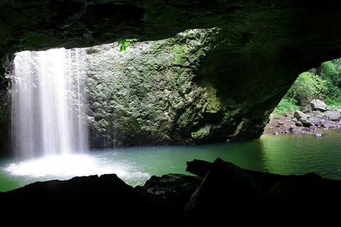 Natural Bridge & Springbrook Waterfalls Tour + Hot Air Balloon With Breakfast - Accommodation in Surfers Paradise 2