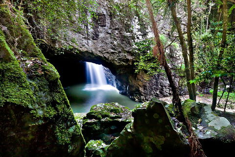 Natural Bridge & Springbrook Waterfalls Tour + Hot Air Balloon With Breakfast - Accommodation in Surfers Paradise 4