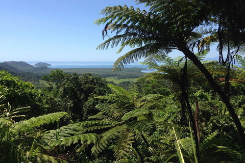 Daintree And Cape Tribulation Full Day Guided Tour - Accommodation in Surfers Paradise 2