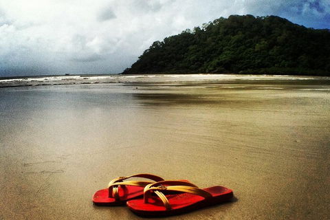 Daintree And Cape Tribulation Full Day Guided Tour - Accommodation in Surfers Paradise 4