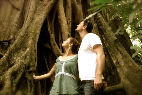 Daintree And Cape Tribulation Full Day Guided Tour - Accommodation in Surfers Paradise 5