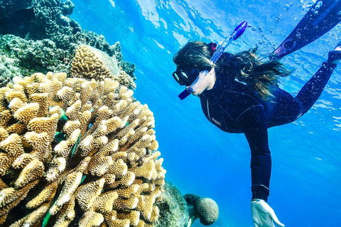 Green Island Day Trip From Cairns - Accommodation in Surfers Paradise 1