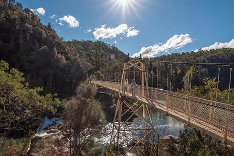 Launceston Private Charter Service - Accommodation in Surfers Paradise 5