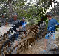 Fully guided E-Mountain Bike Tour on the beautiful Mornington Peninsula. - Accommodation in Surfers Paradise