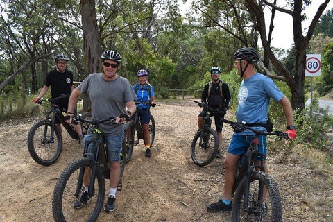 Fully Guided E-Mountain Bike Tour On The Beautiful Mornington Peninsula. - Accommodation in Surfers Paradise 0