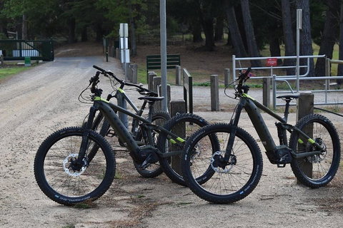 Fully Guided E-Mountain Bike Tour On The Beautiful Mornington Peninsula. - Accommodation in Surfers Paradise 2