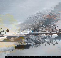 3.5 Hours Walking Tour to Cataract Gorge with Local Guide - Accommodation in Surfers Paradise