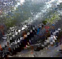 Active Day Tour One-Way from Launceston to Hobart via Wineglass Bay - Accommodation in Surfers Paradise