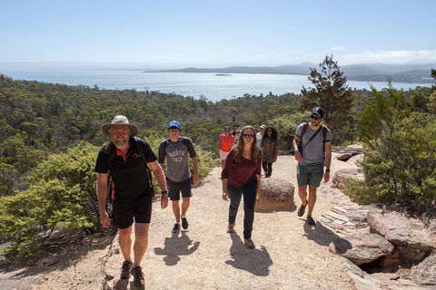 3-Day Tasmania Combo: Launceston To Hobart Active Tour Including Cradle Mountain, Freycinet National Park And Port Arthur - Accommodation in Surfers Paradise 5