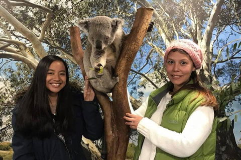 Australia Multi-City Attractions Pass - Accommodation in Surfers Paradise 3