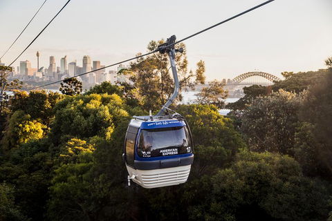 Australia Multi-City Attractions Pass - Accommodation in Surfers Paradise 5