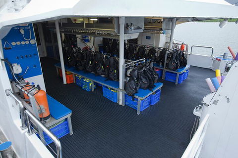 Silverswift Outer Great Barrier Reef Dive And Snorkel Cruise From Cairns - Accommodation in Surfers Paradise 0