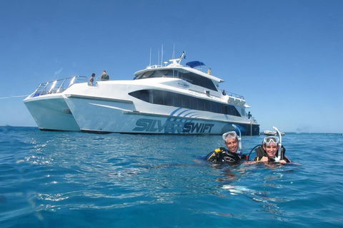 Silverswift Outer Great Barrier Reef Dive And Snorkel Cruise From Cairns - Accommodation in Surfers Paradise 4